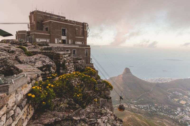 Cable line to Table Mountain