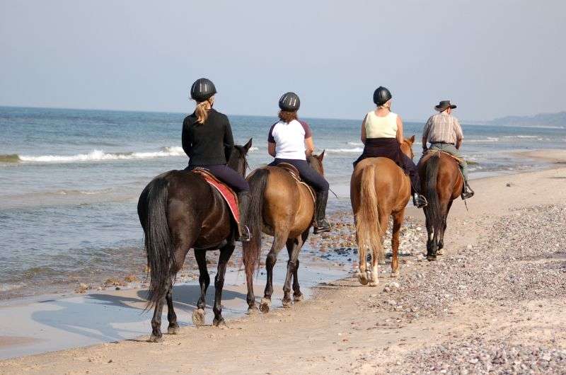 Horse ride on Nordhoek Beach