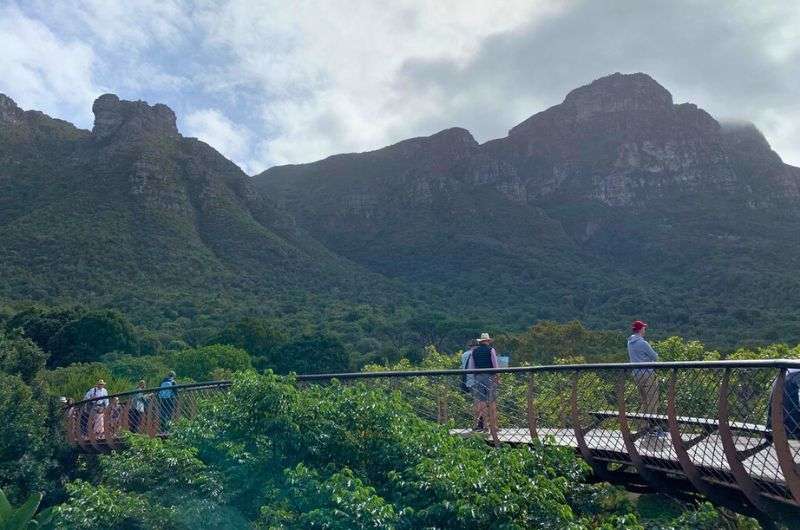 Kirstenbosch National Botanical Garden