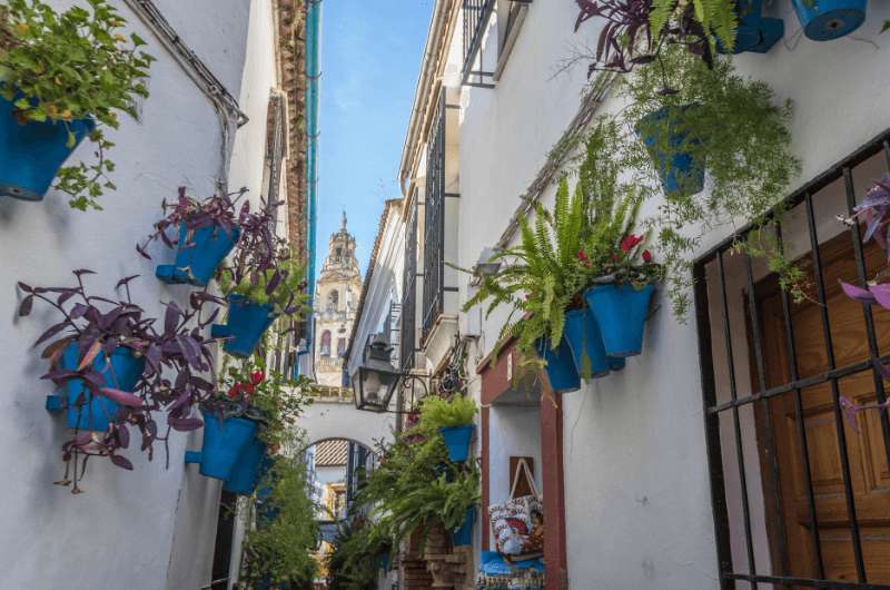 Flower Alley in Cordoba (Andalusia)