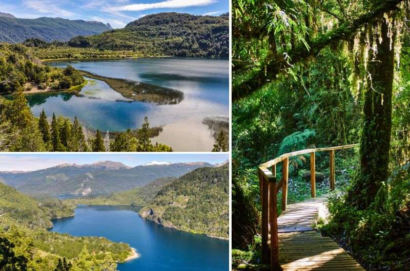 Alerces Andino National Park, Chile