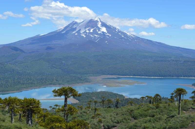 Conguillio National Park, Chile