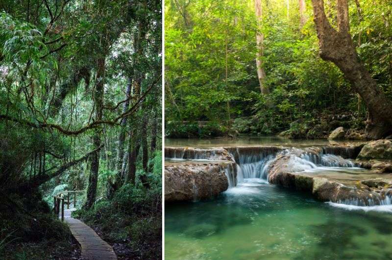 The Alerce Andino National Park in Chile