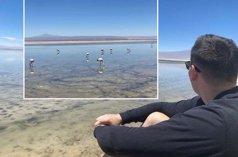 Laguna Chaxa Park, Salar de Atacama, Flamingos