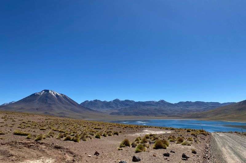 Miscanti and Miniques Lagoons, Salar de Atacama