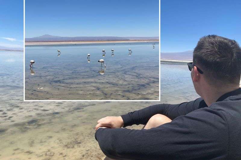 Watching flamingos in Laguna Chaxa Park, Chile, photo by Next Level of Travel