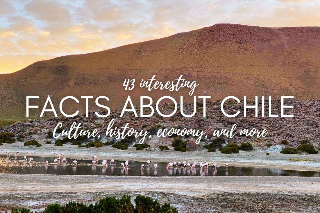 43 Interesting Facts You Didn’t Know About Chile | Unique Facts from My Month in Chile