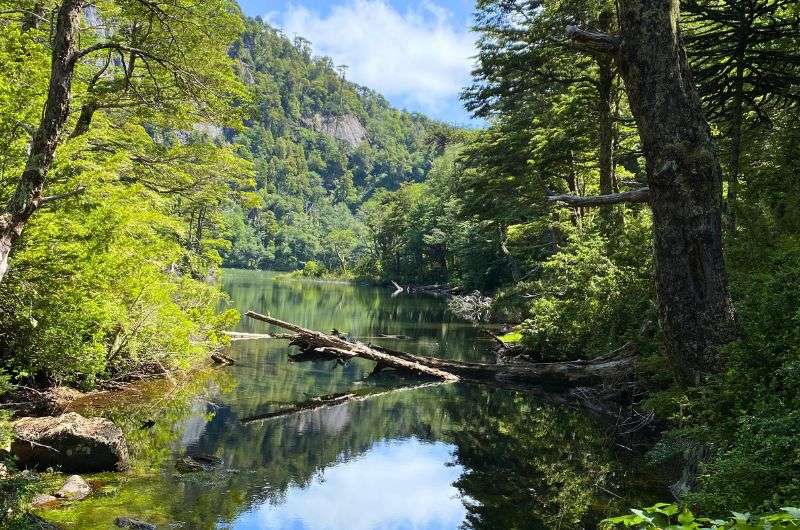 National Park Huerquehue in Chile, photo by Next Level of Travel