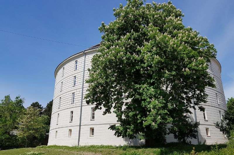 The Narrenturm—a former psychiatric asylum in Austria