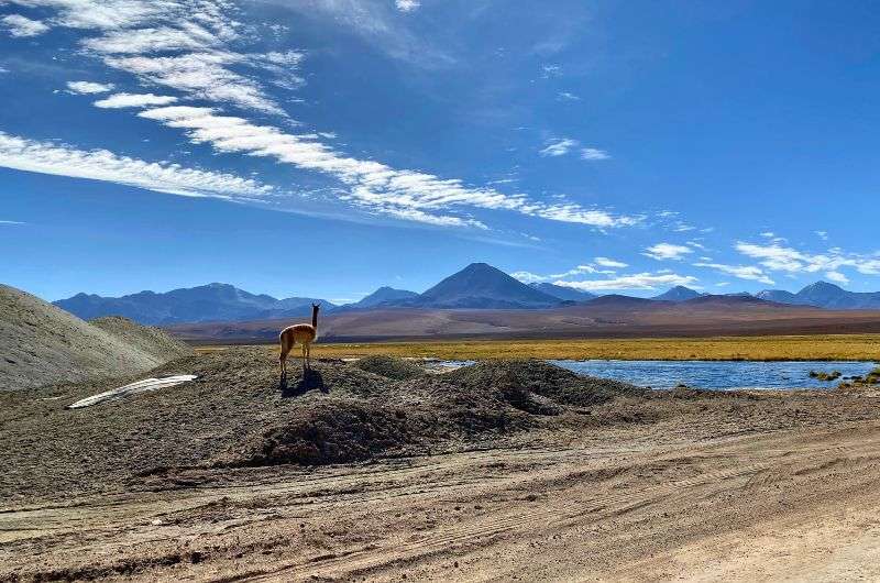 Natural scenery in Chile, photo by Next Level of Travel