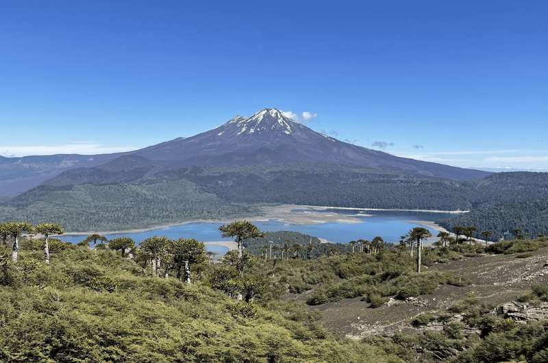 Senderro Sierra Nevada in Conguillío National Park, Chile