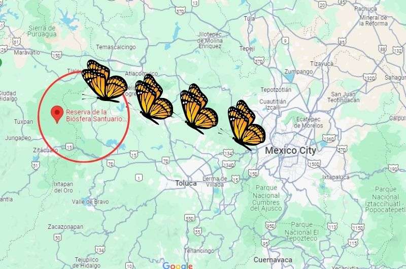 Monarch Butterfly Reserve in the map.