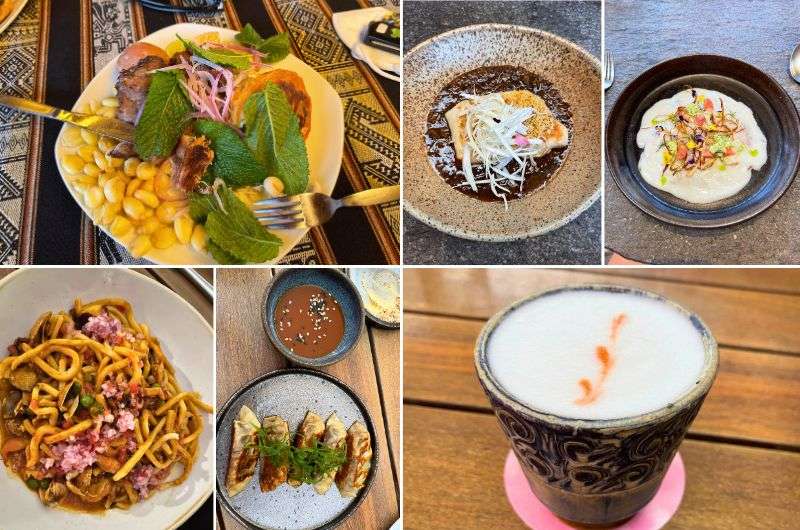 Various dishes of traditional peruvian food in Lima’s restaurants, photos by Next Level of Travel