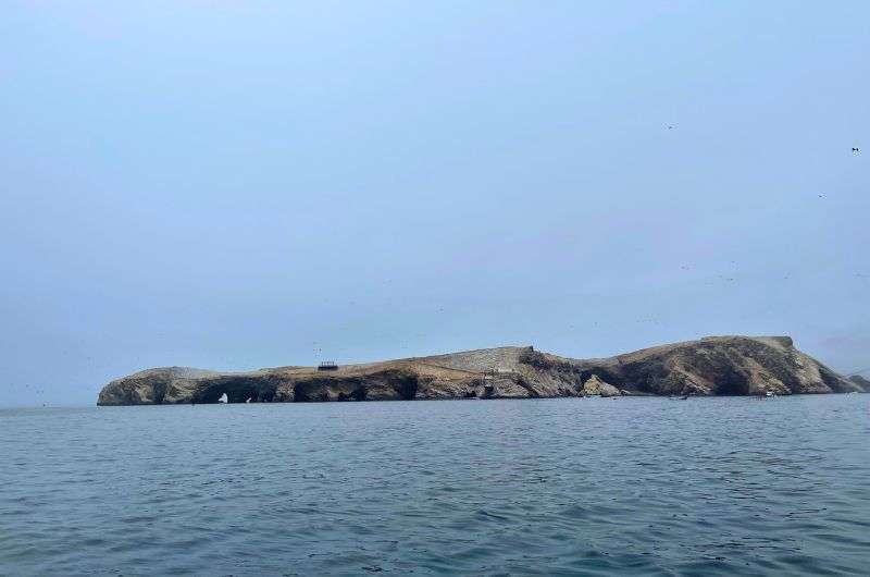 Ballestas Island in Paracas Reserve in Peru, photo by Next Level of Travel