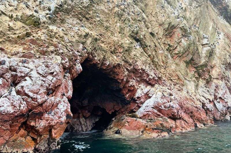 Ballestas Islands in South America, photo by Next Level of Travel