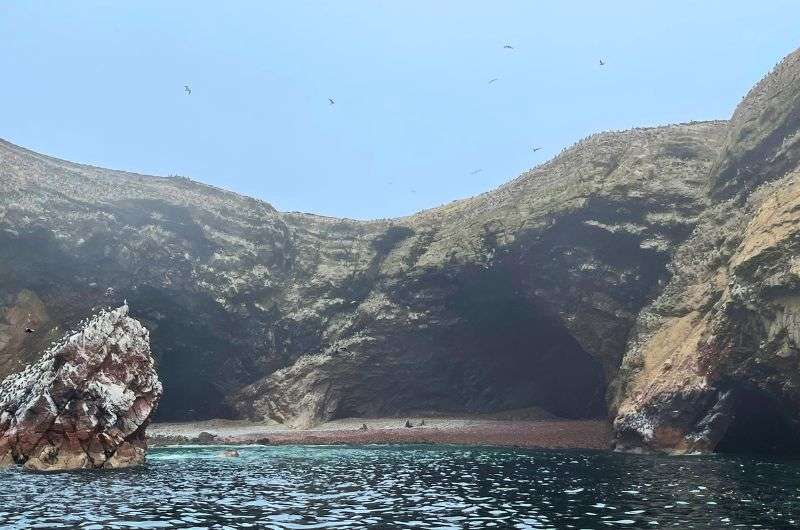 Beach on the Ballestas islands, peruvian coast, photo by Next Level of Travel