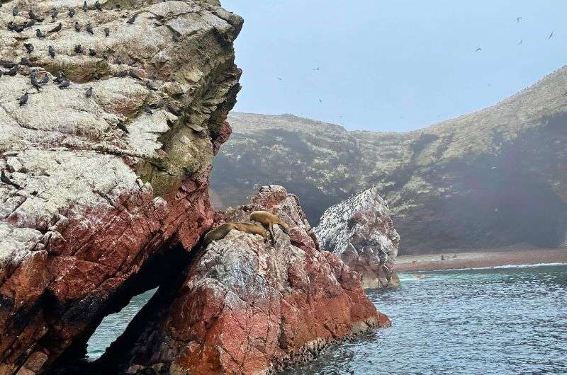 Exploring peruvian coast—Ballestas Islands, photo by Next Level of Travel