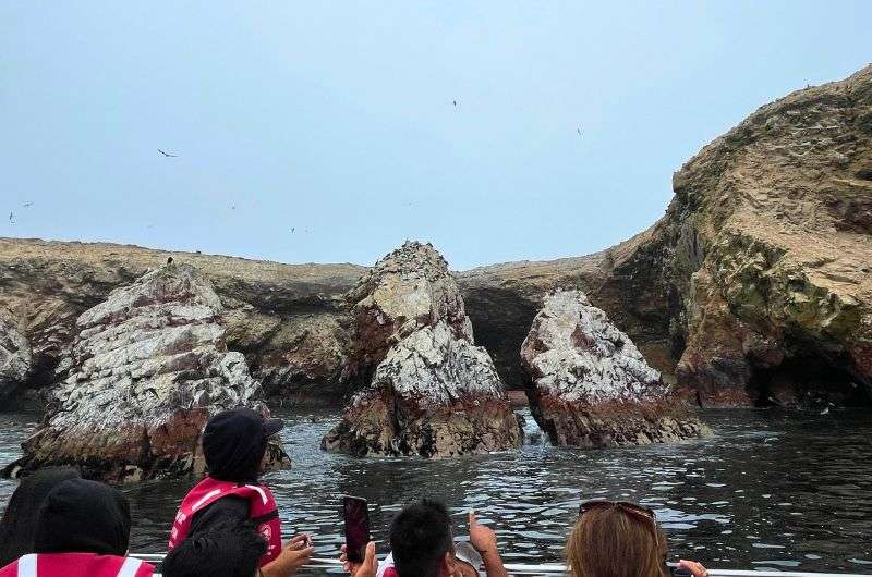 Spotting penguins on the Ballestas Islands tour in Paracas Reserve, photo by Next Level of Travel