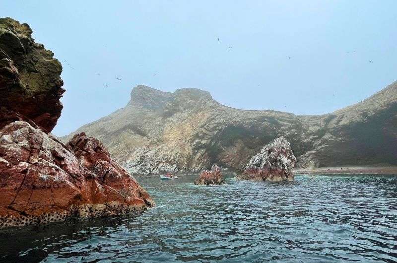 Travel to Islas Ballestas in Paracas Reserve in Peru, South America, photo by Next Level of Travel