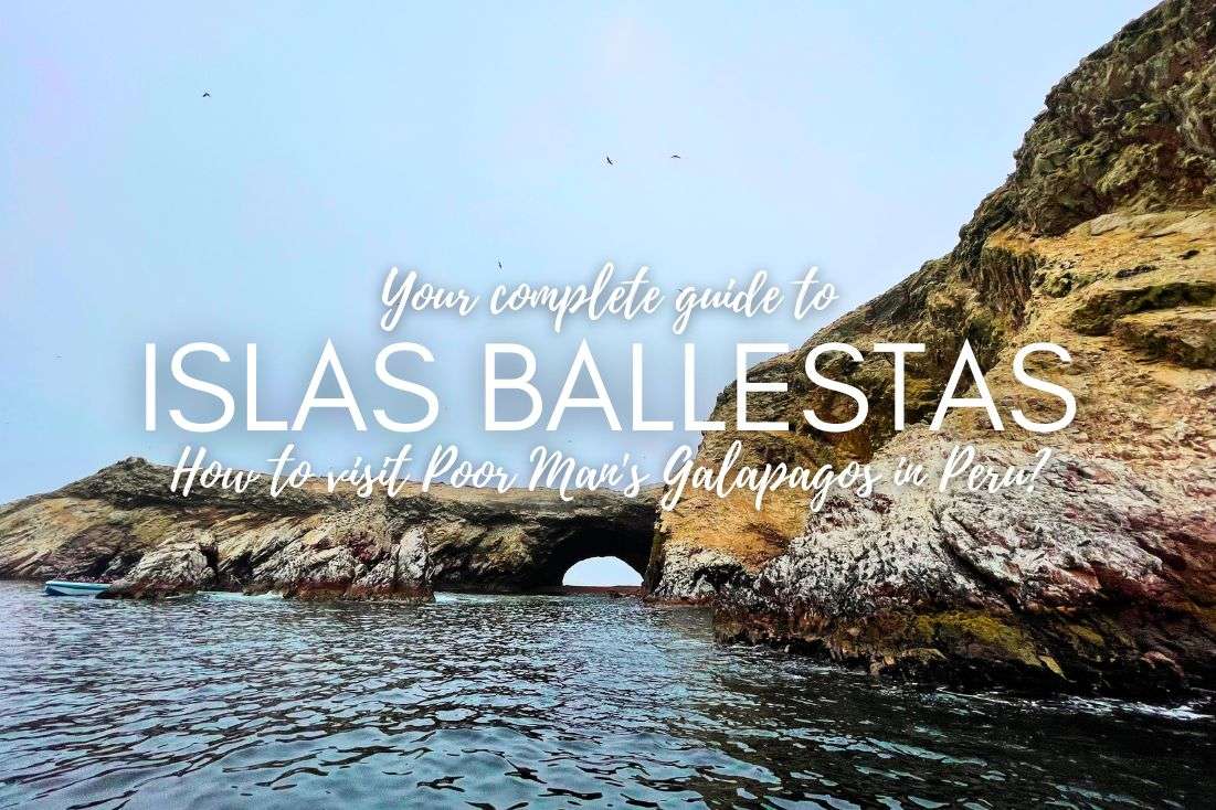 Your Complete Guide to Islas Ballestas Tours: How to Visit Poor Man’s Galapagos in Peru?