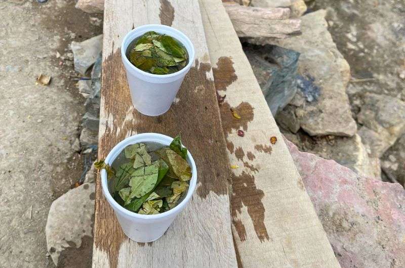 Coca tea to fight altitude sickness in Rainbow Mountain, Peru, photo by Next Level of Travel