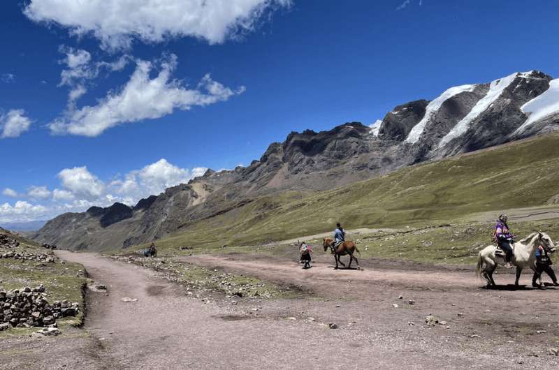 Horses on the route to Rainbow Mountain, photo by Next Level of Travel