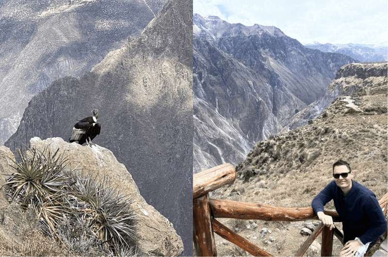 Condor and a traveller in Colca Canyon, photos by Next LEvel of Travel