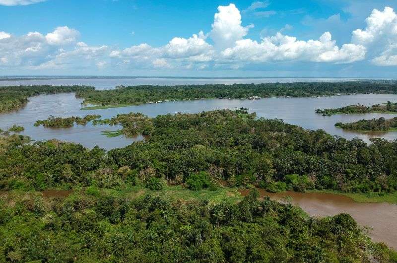 Pacaya Samiria National Reserve in Peru