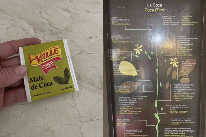 Coca-related artifacts a the coca museum in Cusco, photos by Next Level of Travel