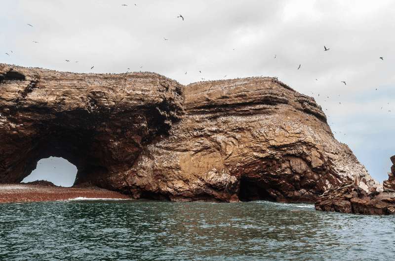 Islas Ballestas view from the boat tour, Peru 