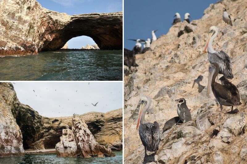 Visiting Islas Ballestas as part of the 2 week Peru itinerary