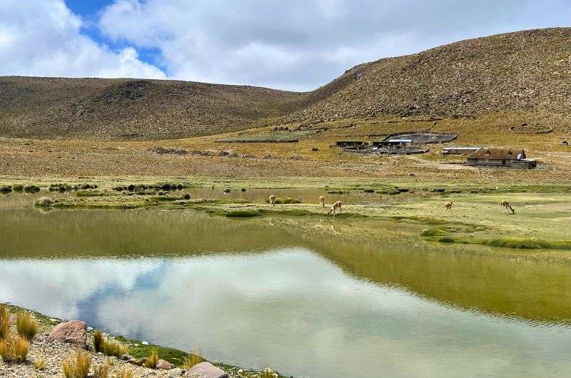 Laguna de Salinas in Peru, photo by Next Level of Travel