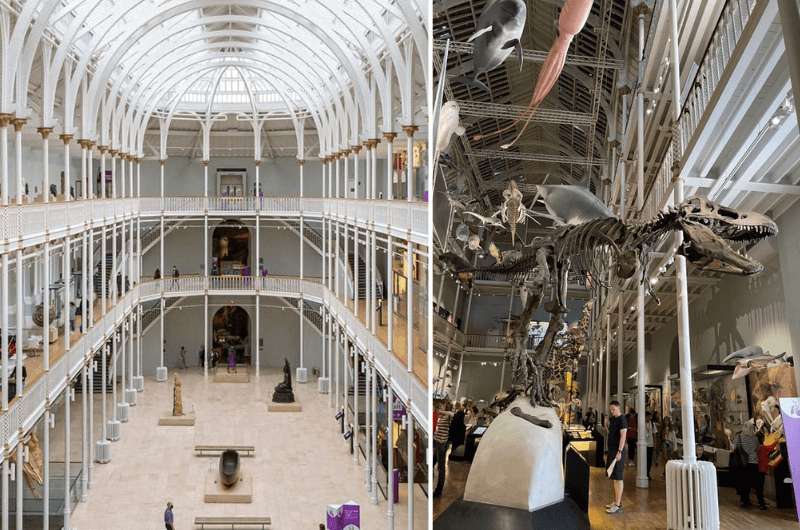National Museum of Scotland interior and TRex