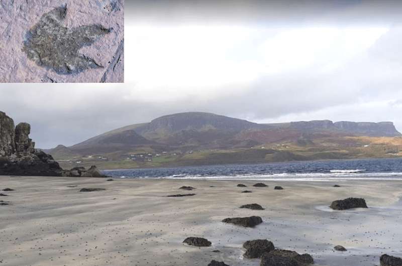 Dinosaur footprints at An Corran Beach in Isle of Skye, Scotland