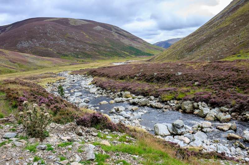 Cairngorms National Park, Scotland