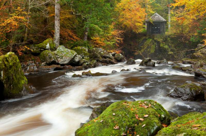 The Hermitage hike, Scotland