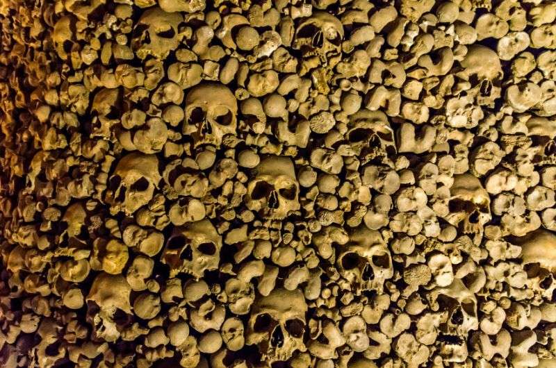 Skulls in Beinhaus, Hallstatt