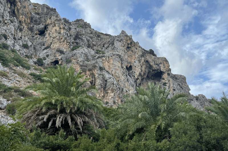 Palm Forest in Preveli Monastery, photo by NExt Level of Travel