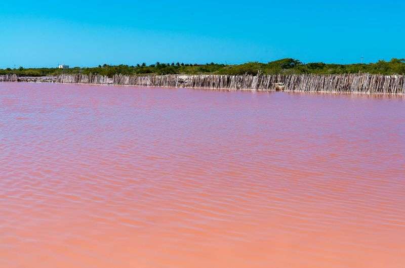 Laguna Rosada in Yucatán, Mexico