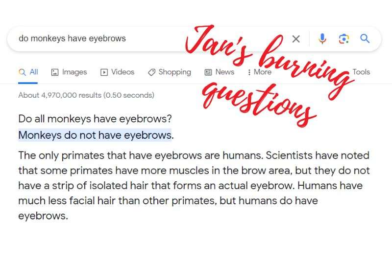 Text answering the question if monkeys have eyebrows. They do not. 