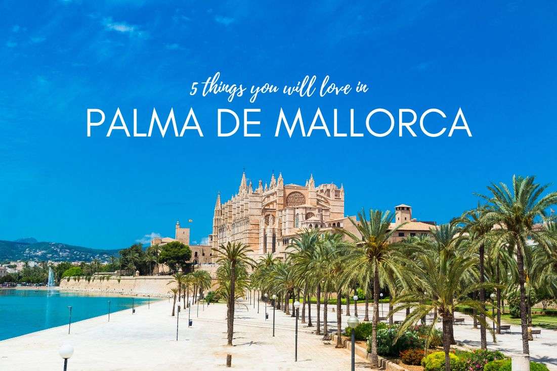 5 Top Things You Will Love in Palma de Mallorca