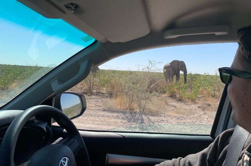 Drive through Etosha National Park, Namibia