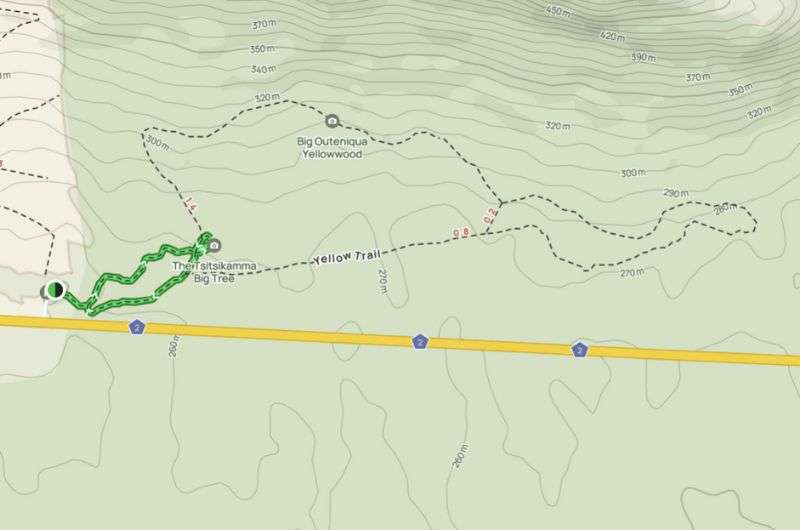 A map showing the Big Tree Trail in Tsitsikamma National Park and the Yellow Trail extension, Garden Route hiking trails