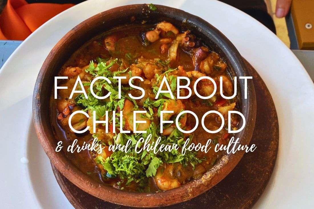 24 Facts About Chile Food, Drinks, and Chilean Food Culture 