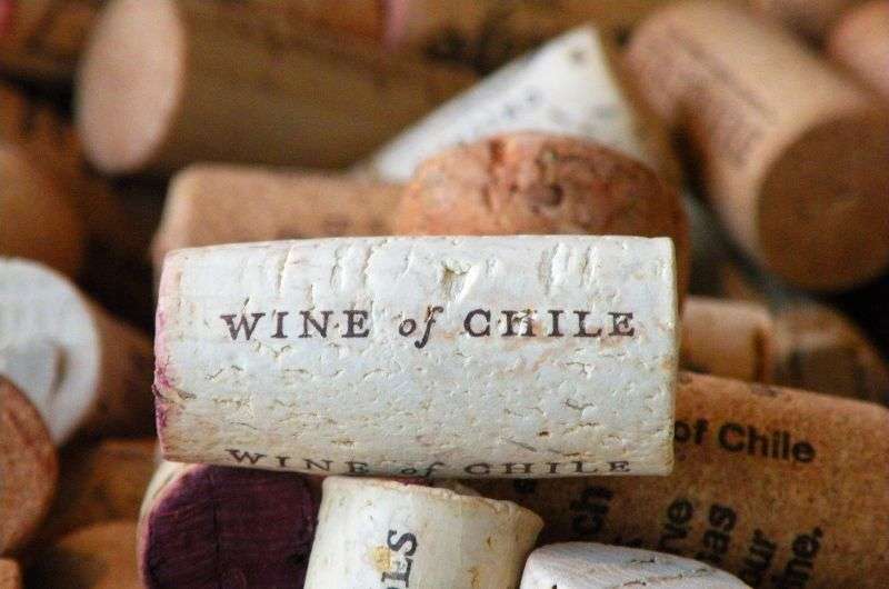 chilean wine corks