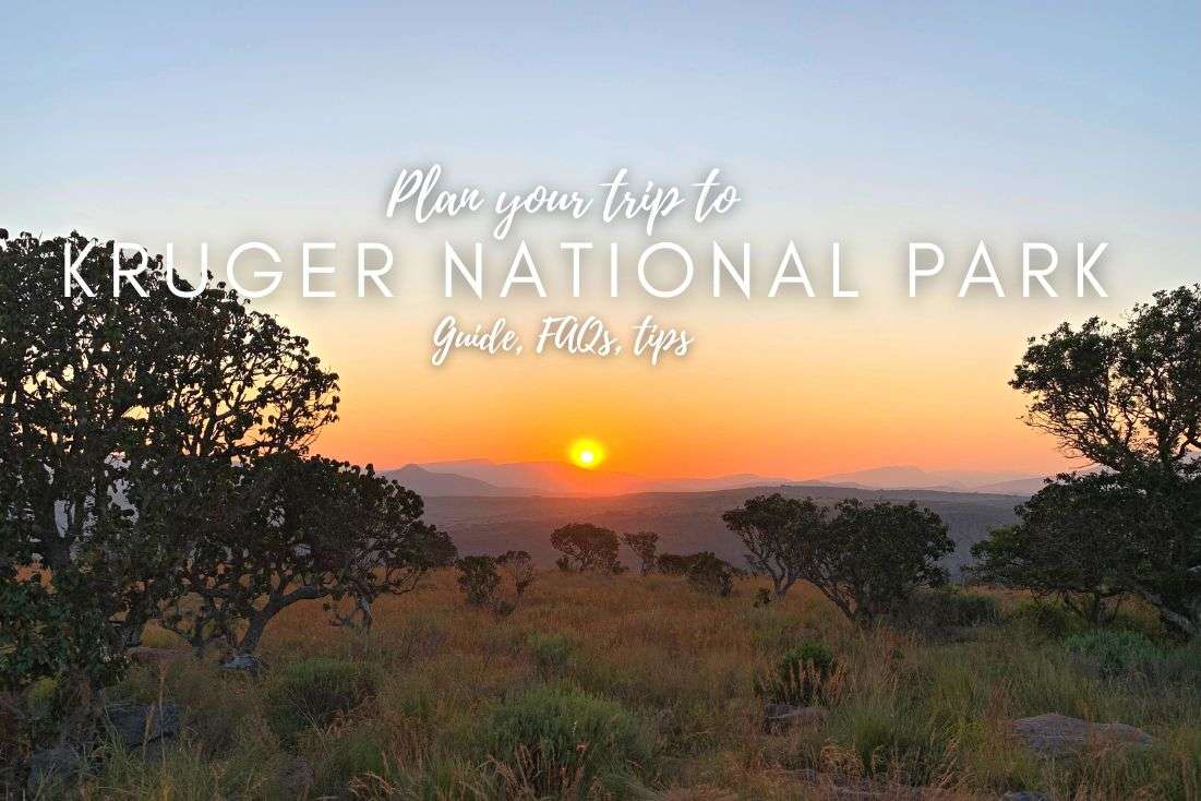 A Big Kruger National Park Travel Guide: 30 Facts, FAQs, and Tips for Planning Your Own Kruger Visit
