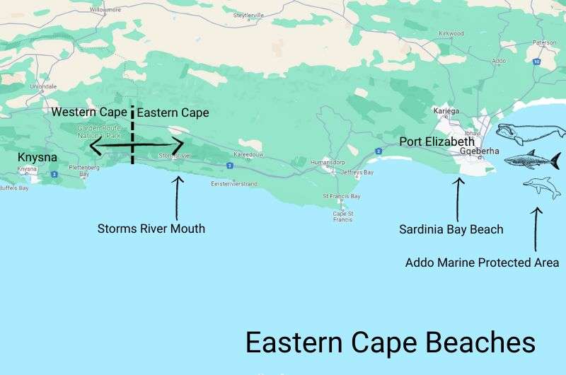 Map of the best beaches in Eastern Cape South Africa