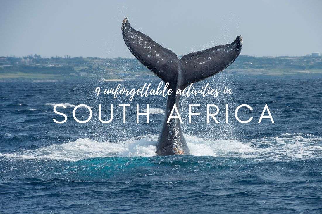 South Africa Bucket List: 9 Unique Experiences You Absolutely Can’t Miss
