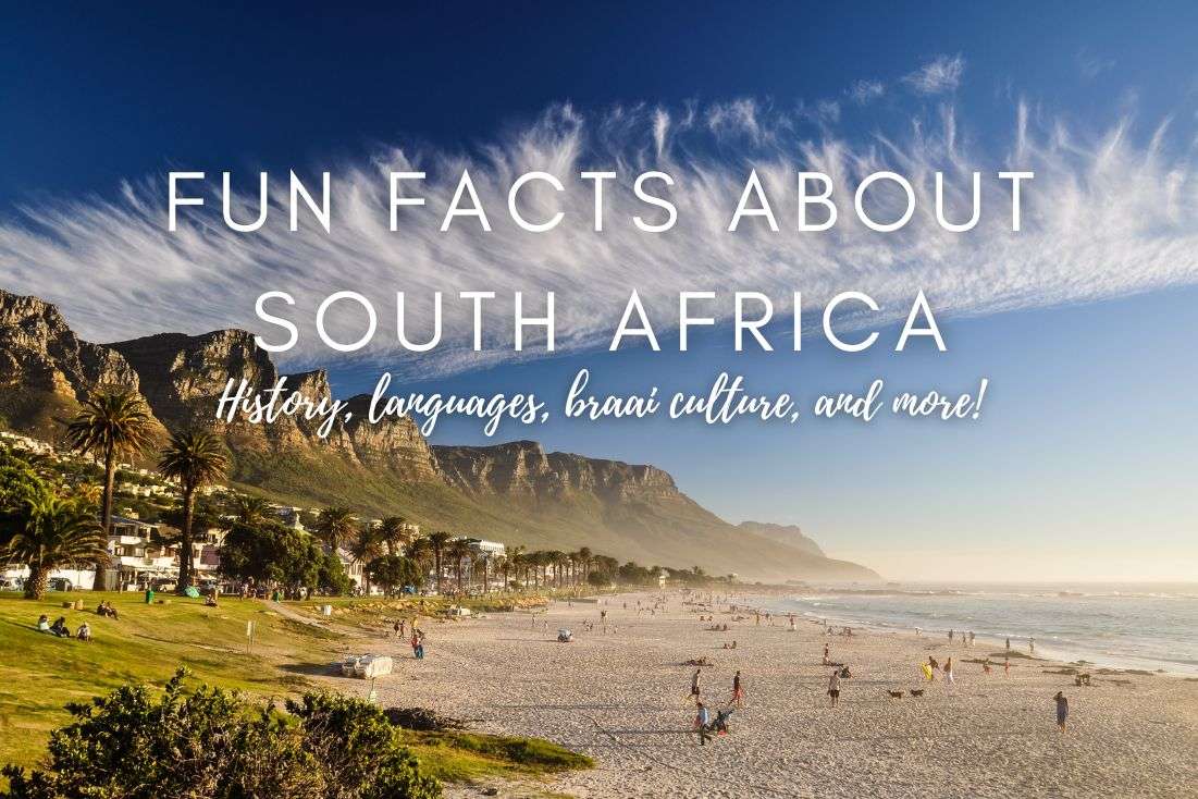 44 Fun Facts About South Africa: Unraveling the Rich History, How Many Official Languages?! and the Beloved Braai Culture