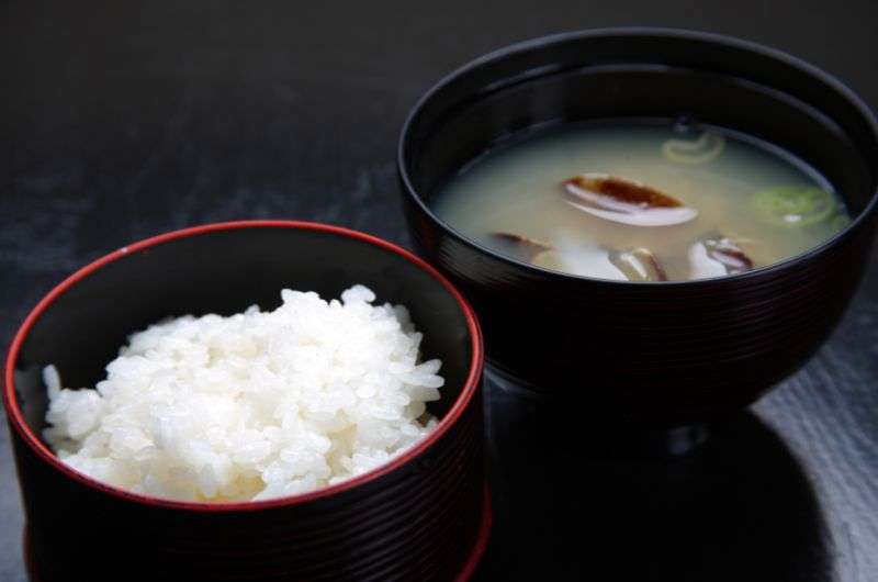 Rice in miso soup with soybean paste, food of Japan